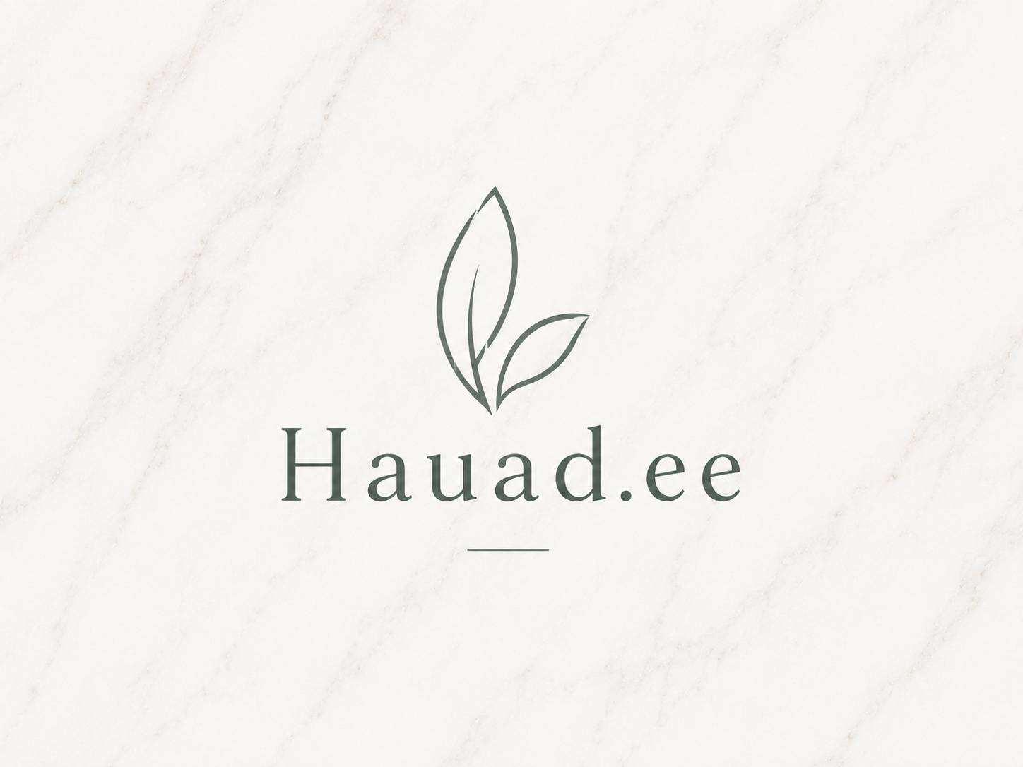 Hauapiirete ehitus